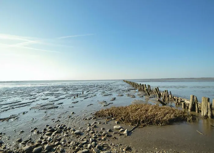 Sdr Frankel Xi Holiday home *